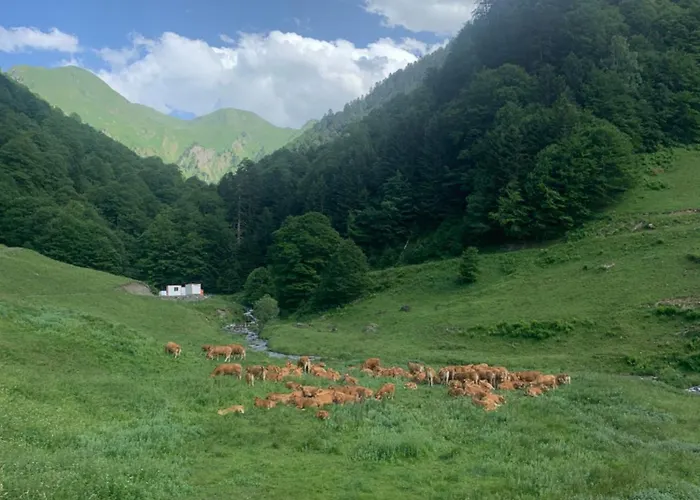 2 Personnes Cures Luchon Bagnères-de-Luchon